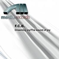 The Sound of Joy (Whitepools Mix)