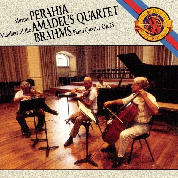 Quartet No. 1 in G Minor for Piano and Strings, Op. 25: I. Allegro