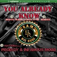 You Already Know (feat. Prodigy & Infamous Mobb)
