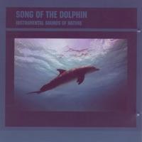 Song of the Dolphin