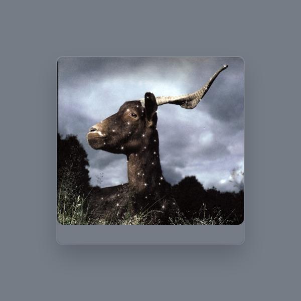 Tue-Loup