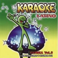 La Mayonesa (Karaoke Version)