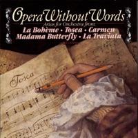 Flower Songs from Carmen