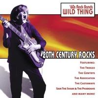 Wild Thing (Re-Recorded)