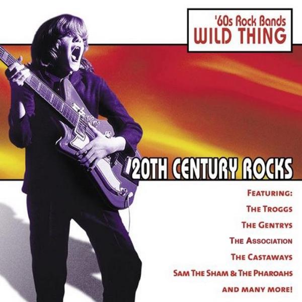 Wild Thing (Re-Recorded)