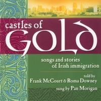 The Immigrant's Return/The Hill of Knocknashee/The Busy Bee
