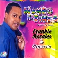 Mensajero del Amor