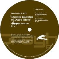 20 Minutes of Disco Glory (Harvey Remix)