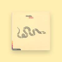 Avleddha
