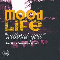 Without You (Davie Dee Alapapella Mix)