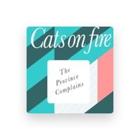 Cats On Fire