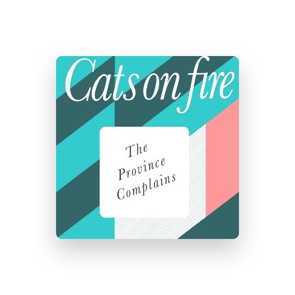 Cats On Fire