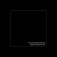 Experimental Crossbreed