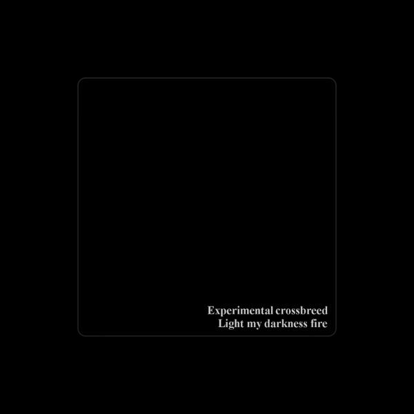 Experimental Crossbreed