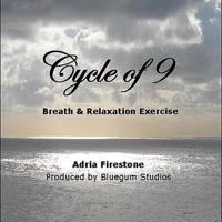 The Cycle of Nine II