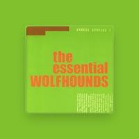 Wolfhounds