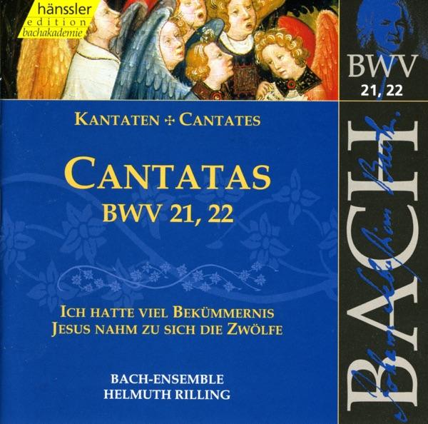 Ich Hatte Viel Bekummernis, BWV 21: Sinfonia