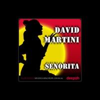 David Martini