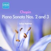 Piano Sonata No. 2 in B flat minor, Op. 35, "Funeral March": III. Marche funebre