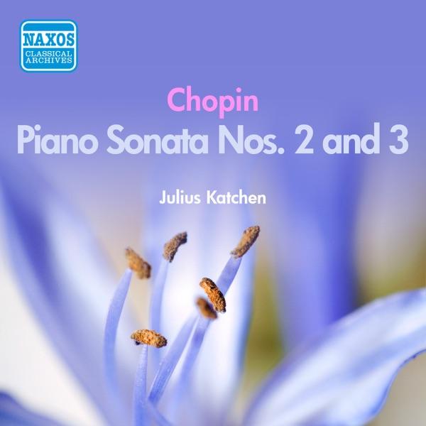 Piano Sonata No. 2 in B flat minor, Op. 35, "Funeral March": III. Marche funebre