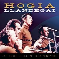 Mae Pawb Yn Chwarae Gitar