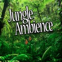 Jungle Habitat for Deep Sleep and Relaxation (Nature Sound)