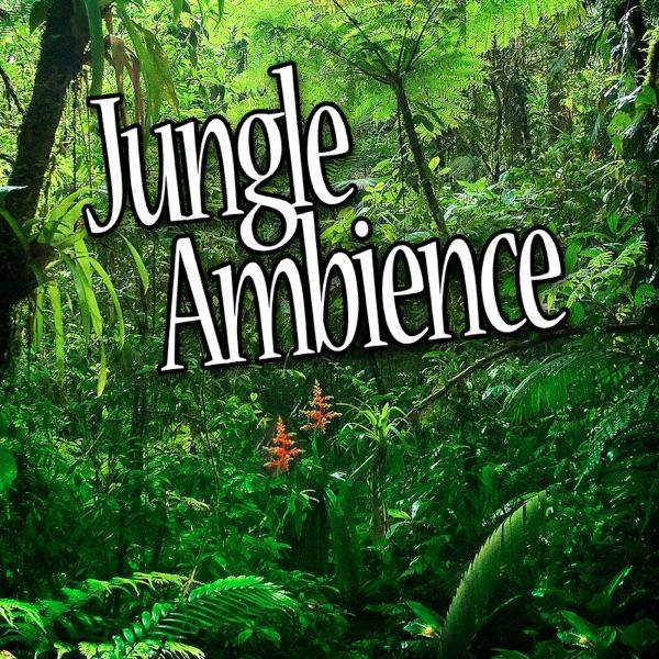 Jungle Habitat for Deep Sleep and Relaxation (Nature Sound)