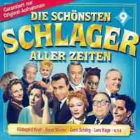 Gitarren spielt auf