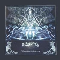 Hybrid Demensions