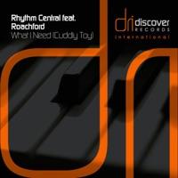What I Need (Cuddly Toy) [Radio Edit]