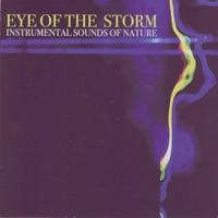 Eye of the Storm