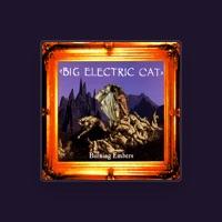 Big Electric Cat