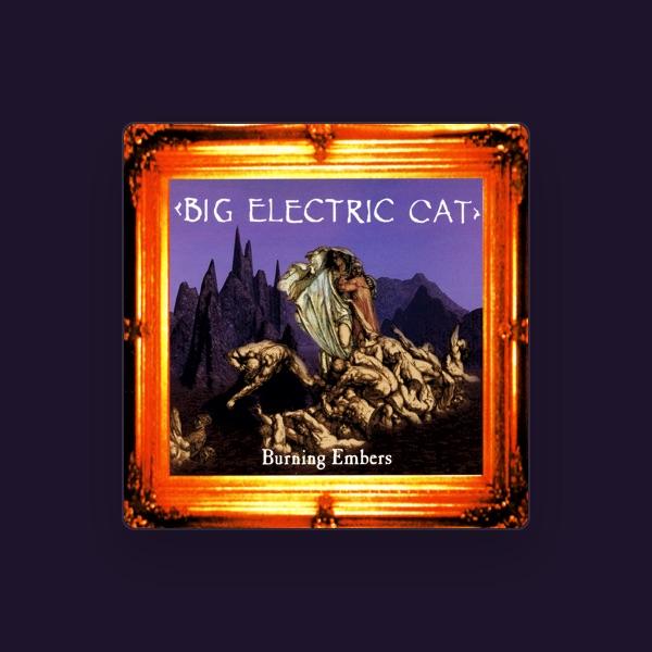 Big Electric Cat