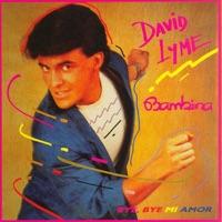 Bye Bye Mi Amor (12-Inch Version)