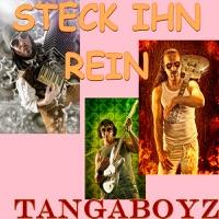 Steck ihn rein (Karaoke Chor Fernando)