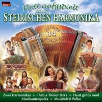 Musikantenpolka (Radio Version)
