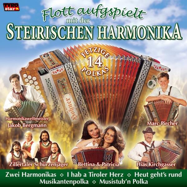 Musikantenpolka (Radio Version)