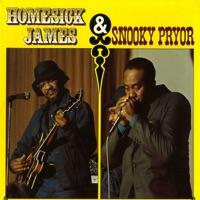 Homesick Blues Again