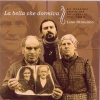 Un Granellin Di Riso