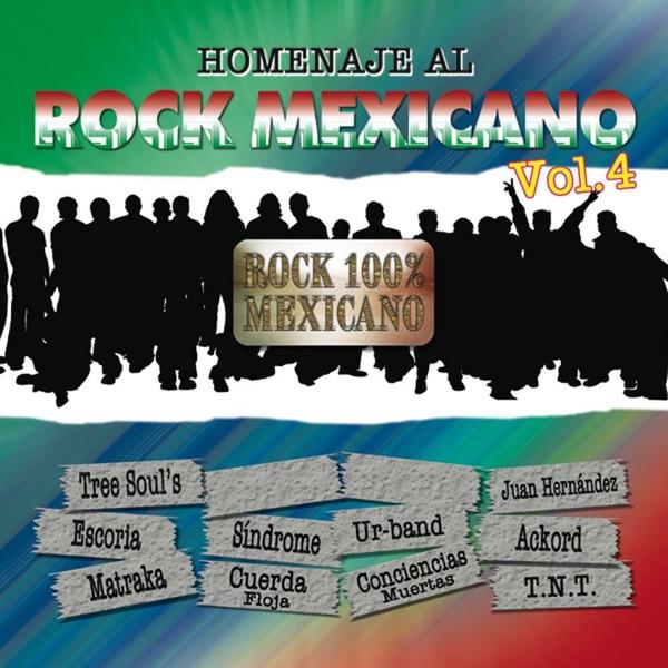 La Misma Cancion