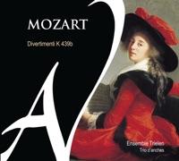 Divertimento No. 1 in B-Flat Major, K. 439b: I. Allegro