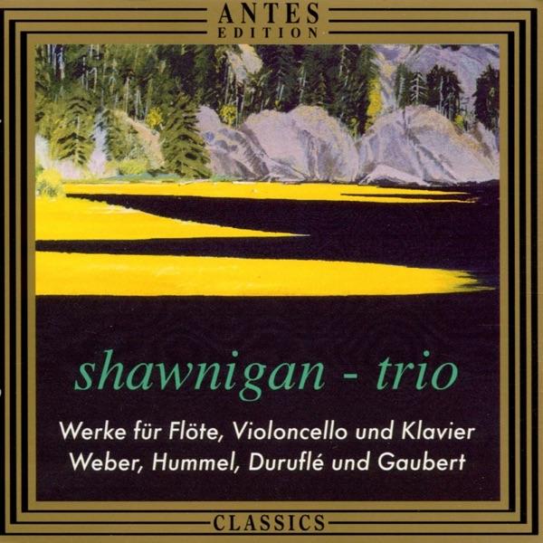 Trio G-Moll, Op. 63: IV. Finale, Allegro