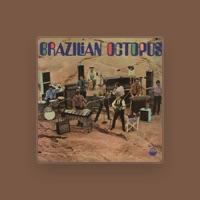 Brazilian Octopus