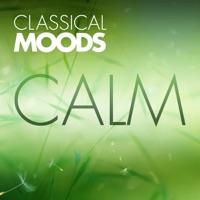 Quinteto Instrumental for Flute, String Trio and Harp, Op. Posthum: II. Lento