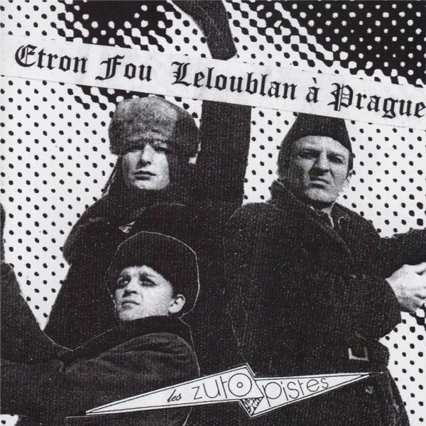 Araignée du matin