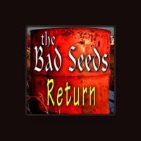 The Bad Seeds