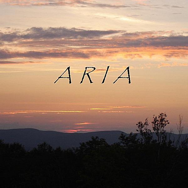 Aria for Unaccompanied Bass Guitar