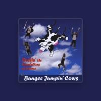 Bungee Jumpin' Cows