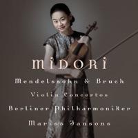 Concerto in E minor for Violin and Orchestra, Op. 64: I. Allegro molto appassionato