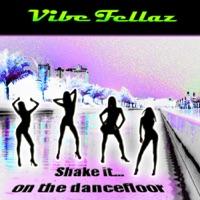 Shake It On The Dance Floor (Long Extended Edit)